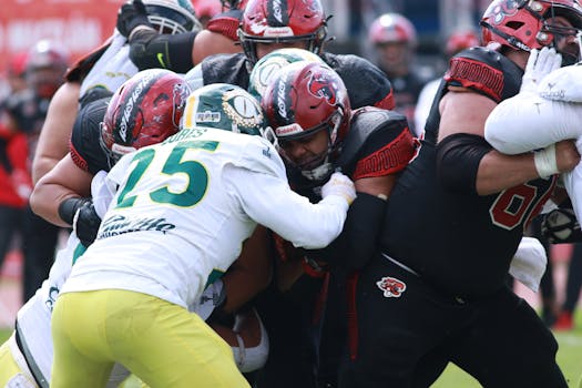 SK Sigma Olomouc: Pivotal Force in Czech Football League