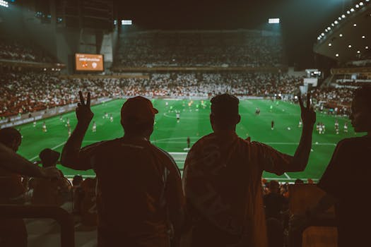 Jak fanoušci ovlivňují úspěchy fotbalového klubu SK Sigma Olomouc