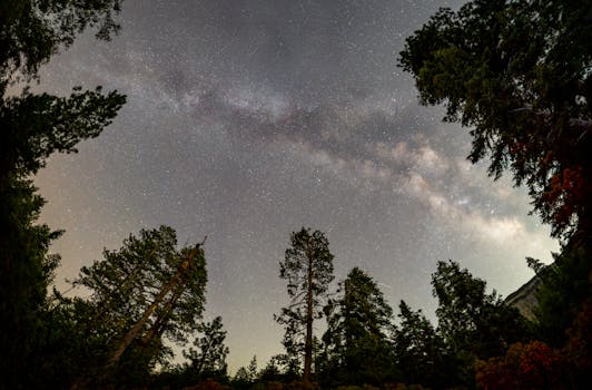 Jak SK Sigma Olomouc řídí talenty a formuje fotbalové hvězdy
