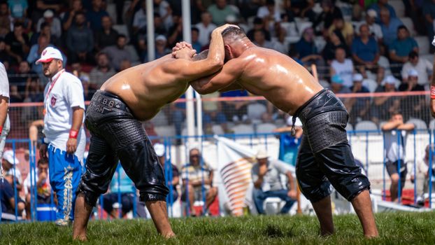 Rivalita Sigmy a Baníku: Fanoušci, Tradice a Čísla v Číslech
